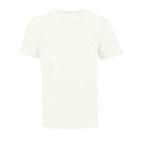 Absolute White